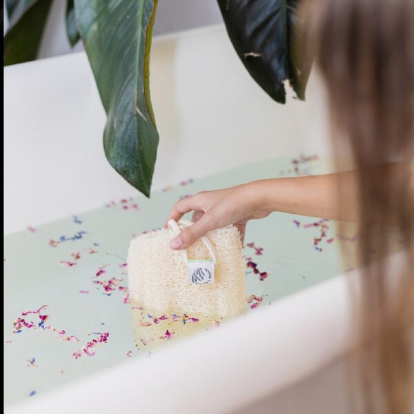 Natural Egyptian Loofah Gift Set