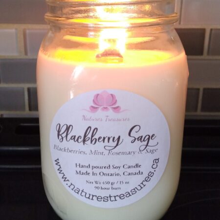 Blackberry-Sage-scaled-1.jpg