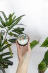 Zen Gift Set