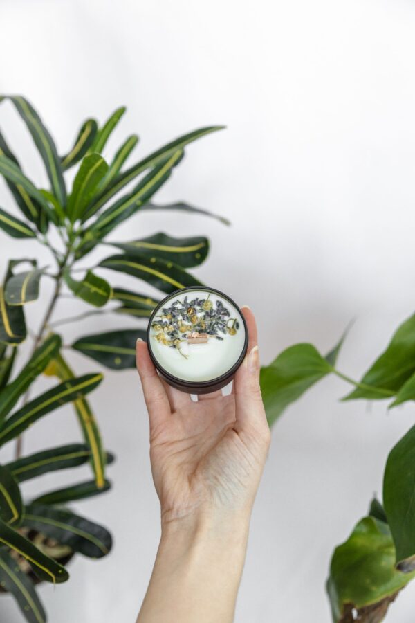 Zen Gift Set