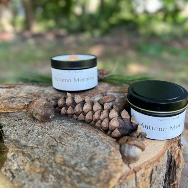 Trio of Autumn scents Candles - Gift Set