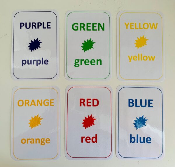 Rainbow Color Sorting Board Set w/Flashcards