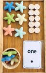 Counting is Fun Star Set