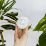 White Musk and Coconut Bath Bomb