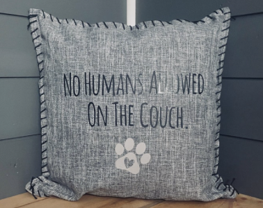No Humans Allowed On The Couch. Pillow Cover.