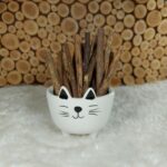 Silvervine Sticks (Better than Catnip !)