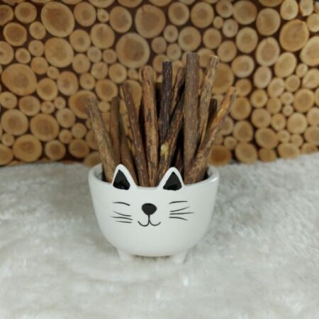 Silvervine Sticks (Better than Catnip !)