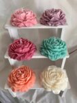 Peony Soy Wax Candles 6 pack multi-colour