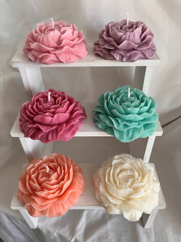 Peony Soy Wax Candles 6 pack multi-colour