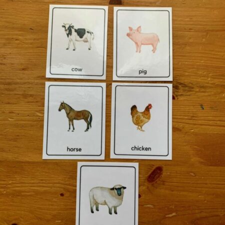color-farm-flashcards-5pk-600×800