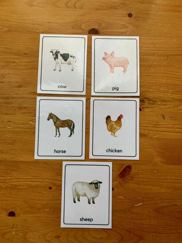 3D Eco Printed Farm Animals Set with Color Flashcards