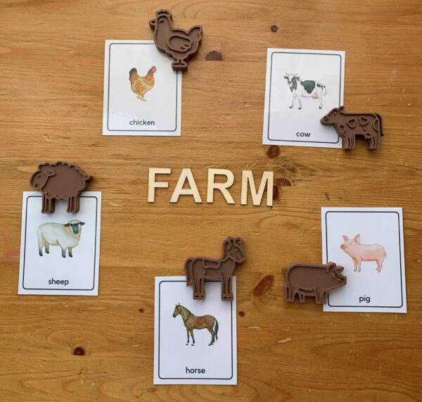 3D Eco Printed Farm Animals Set with Color Flashcards