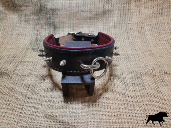 Hand Made leather spiked collar