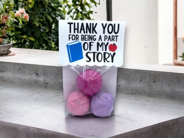 Seed Bombs -3 Pack - Teacher Appreciation Gift to Say Thank You