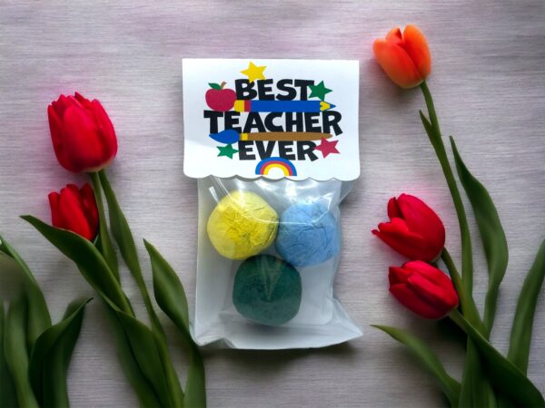Seed Bombs -3 Pack - Teacher Appreciation Gift to Say Thank You