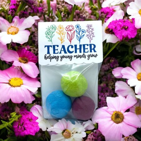 Seed Bombs -3 Pack - Teacher Appreciation Gift to Say Thank You