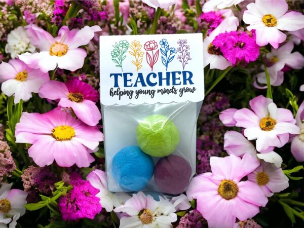 Seed Bombs -3 Pack - Teacher Appreciation Gift to Say Thank You