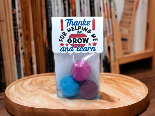 Seed Bombs -3 Pack - Teacher Appreciation Gift to Say Thank You