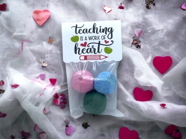 Seed Bombs -3 Pack - Teacher Appreciation Gift to Say Thank You