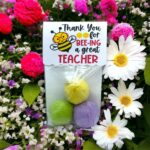 Seed Bombs -3 Pack - Teacher Appreciation Gift to Say Thank You