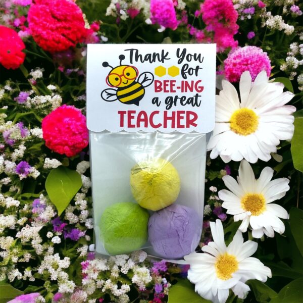 Seed Bombs -3 Pack - Teacher Appreciation Gift to Say Thank You