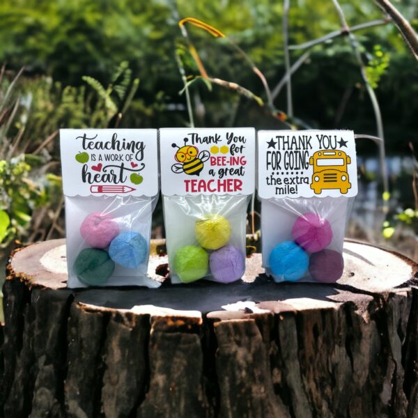 Seed Bombs -3 Pack - Teacher Appreciation Gift to Say Thank You