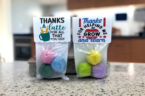 Seed Bombs -3 Pack - Teacher Appreciation Gift to Say Thank You