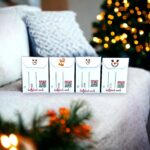 Seed Packets for Christmas - Whimsical Wish Seeds - 10pk
