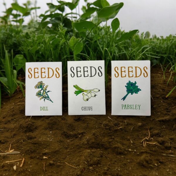 Indoor Herb Garden Starter Kit with Parsley, Chives, and Dill Seeds