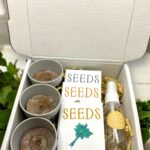 Indoor Herb Garden Starter Kit with Parsley, Chives, and Dill Seeds