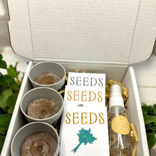 Indoor Herb Garden Starter Kit with Parsley, Chives, and Dill Seeds