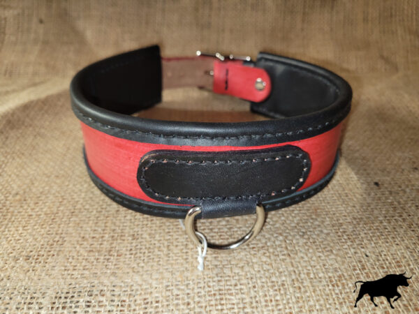 Hand made leather dog collar