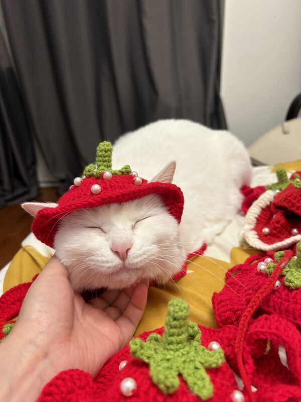 Handmade crochet strawberry Hat for cat and small dog cute style