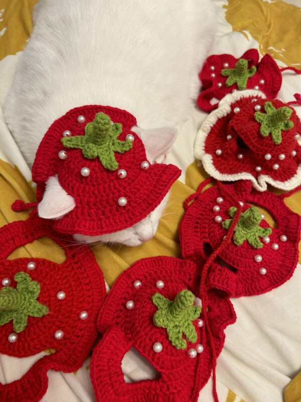 Handmade crochet strawberry Hat for cat and small dog cute style