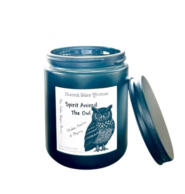 Spirit Animal Candle The Owl