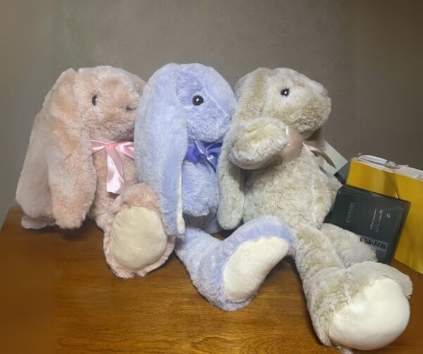 Personalized Plush Bunny Rabbit | Easter Bunny
