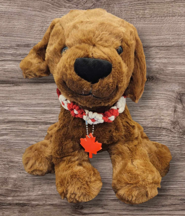 Pet Collar - Macrame - Daisy Pattern - Red and White - Canada