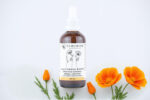 California Poppy Herbal Tincture