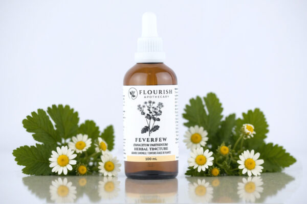 Feverfew Herbal Tincture