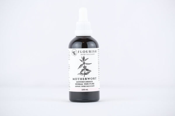 Motherwort Herbal Tincture