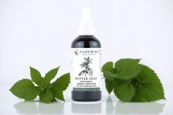 Nettle Leaf Herbal Tincture