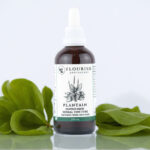 Plantain Organic Herbal Tincture made by Flourish Apothecary of Victoria, BC