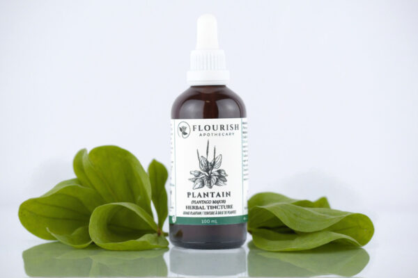 Plantain Herbal Tincture