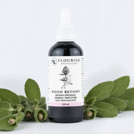 Wood Betony Herbal Tincture