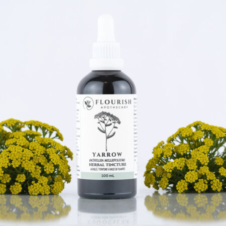 Yarrow Herbal Tincture
