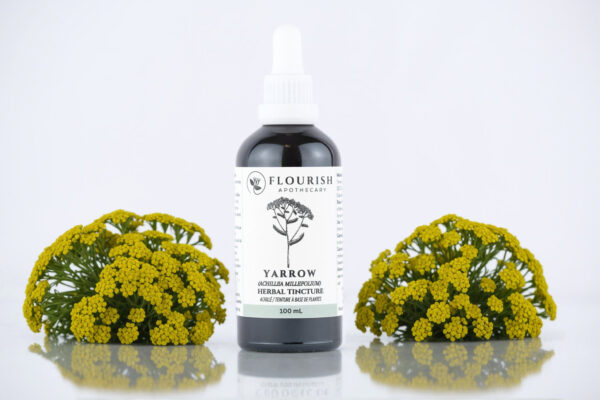 Yarrow Herbal Tincture