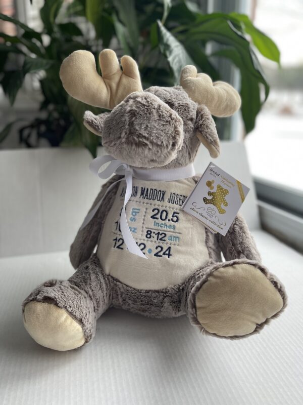 Unique Birth Keepsake for New Baby Ideal Gift for Expecting Parents