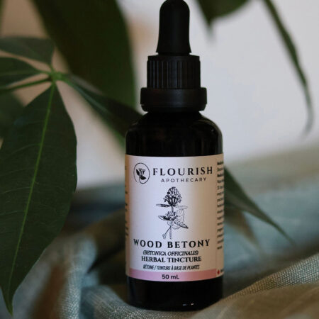 Wood Betony Organic Herbal Tincture made by Flourish Apothecary of Victoria, BC