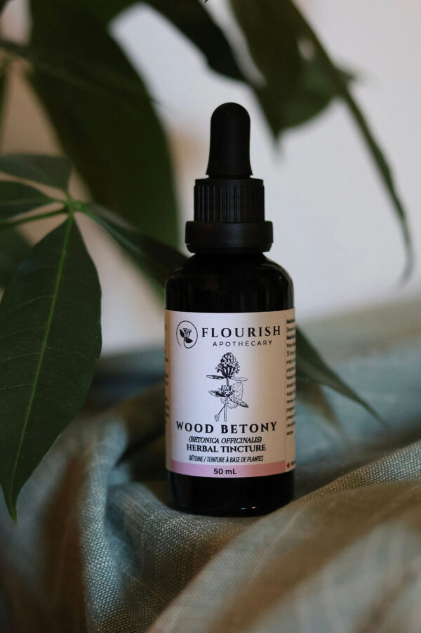 Wood Betony Herbal Tincture