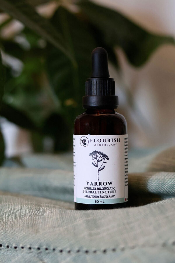 Yarrow Herbal Tincture